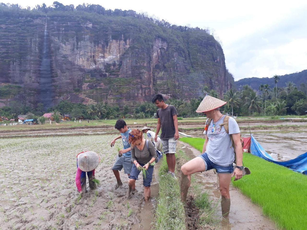 Abdi Homestay Arau Екстериор снимка